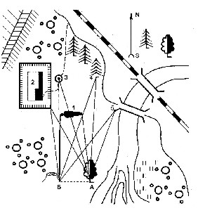 Ris31_1